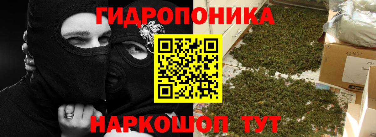 Бошки Шишки White Widow  МАРИХУАНА White Widow  Бошки марихуана конопля  Марихуана Bruce Banner  Кисловодск  Вход с VPN 